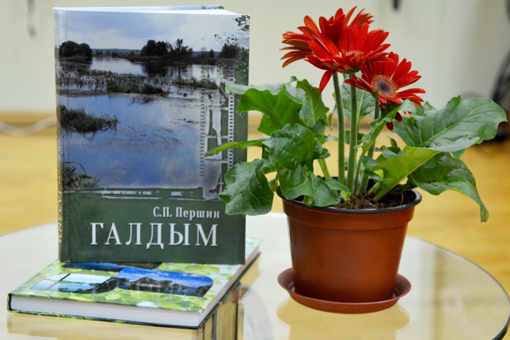 Изображение новости: В Пушкинской библиотеке презентовали книгу тамбовского краеведа Сергея Першина «Галдым»