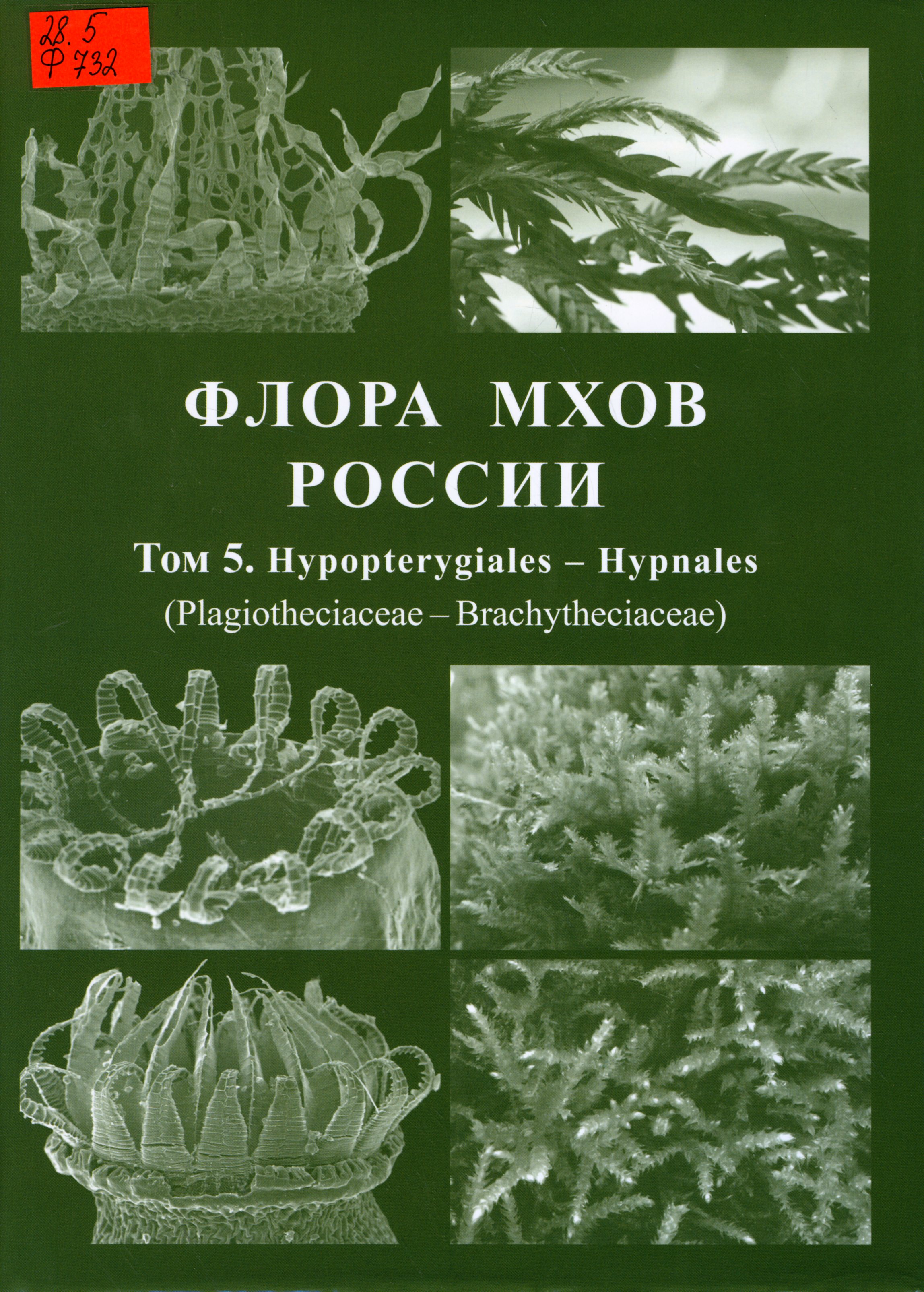 28.5 Ф732