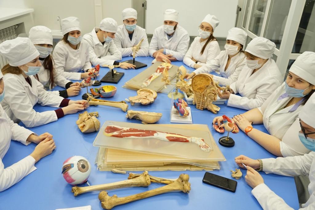 Изображение новости: В Державинском открылась обновленная кафедра анатомии и топографической анатомии