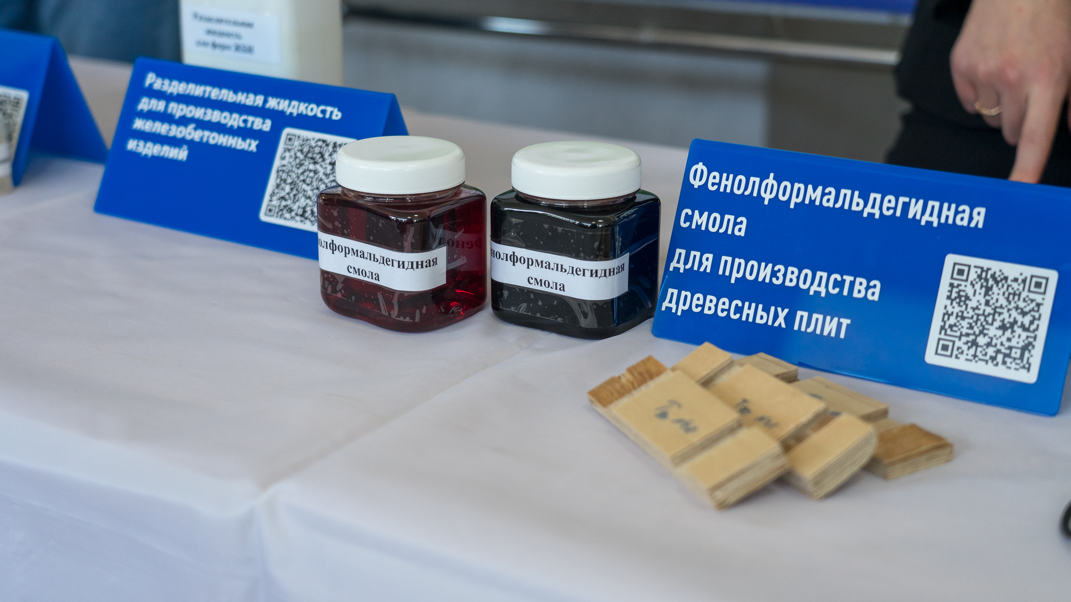 Изображение новости: Державинский представил научные достижения на региональном Фестивале  «NAUKA 0+»