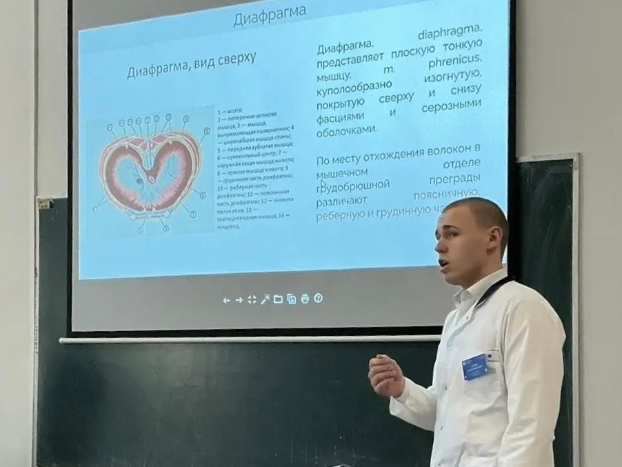 В Институте состоялось заседание научного студенческого кружка по анатомии