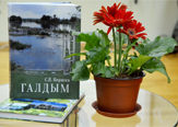Изображение В Пушкинской библиотеке презентовали книгу тамбовского краеведа Сергея Першина «Галдым»