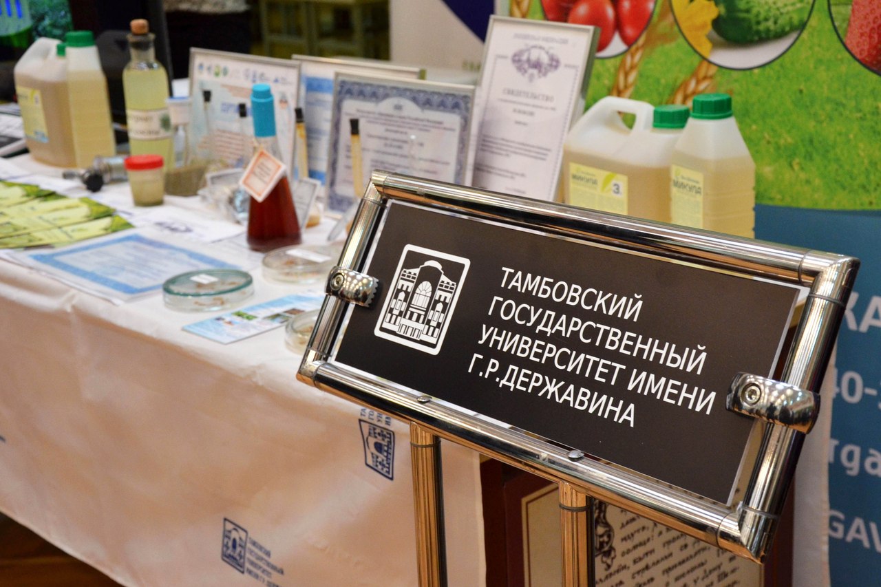 Изображение новости: ТГУ принял участие в работе Делового центра Покровской ярмарки