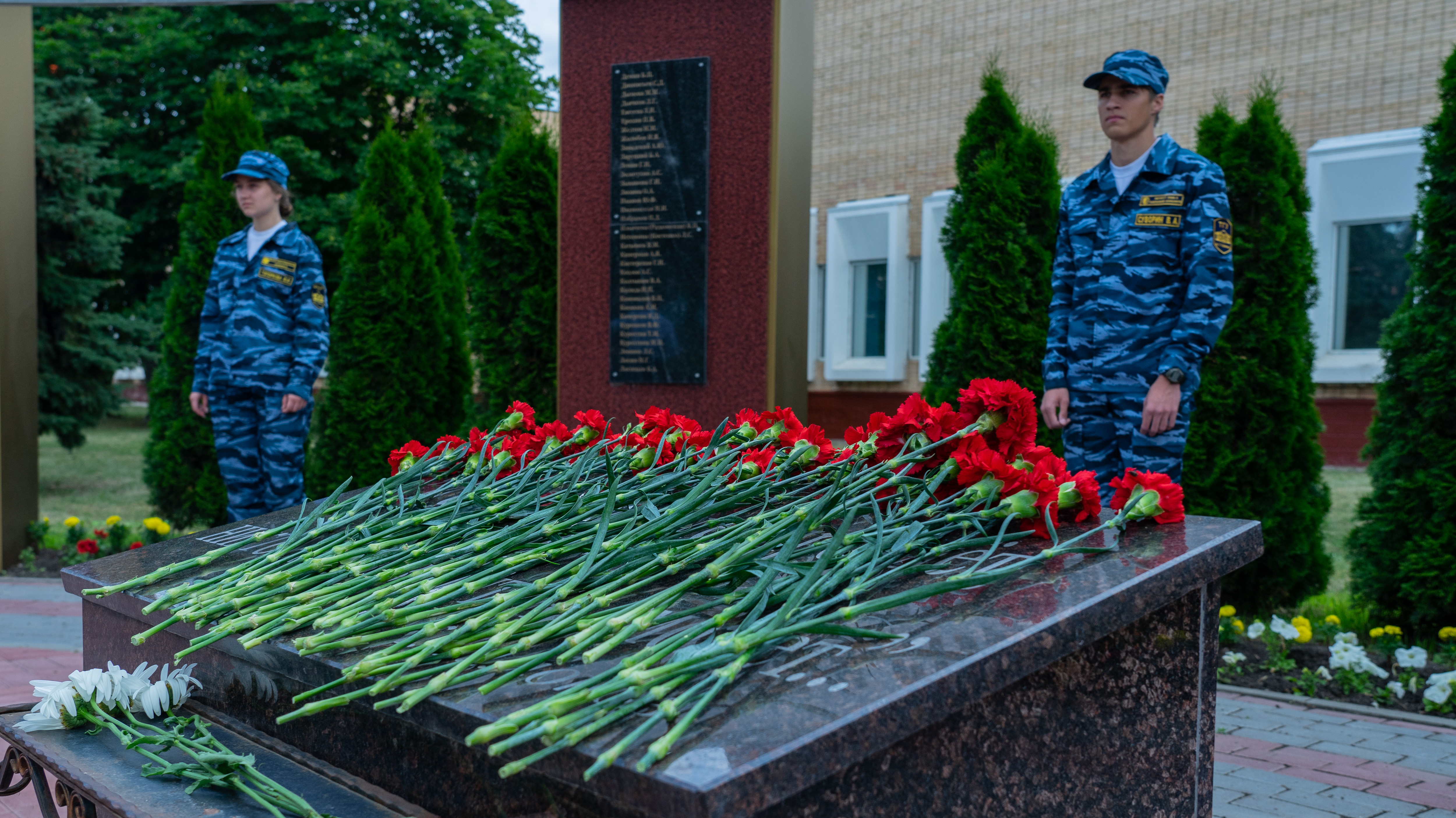 Изображение новости: В День памяти и скорби державинцы почтили память участников Великой Отечественной войны 