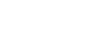 Логотип РСО