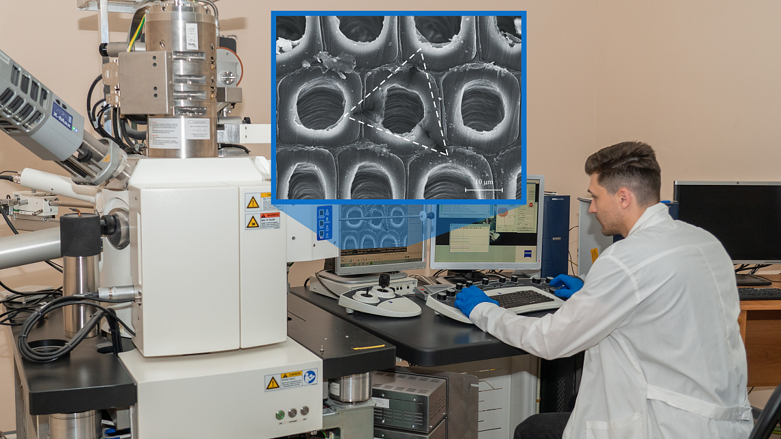 Ученые Державинского помогут археологам точнее датировать деревянные артефакты фото детальные