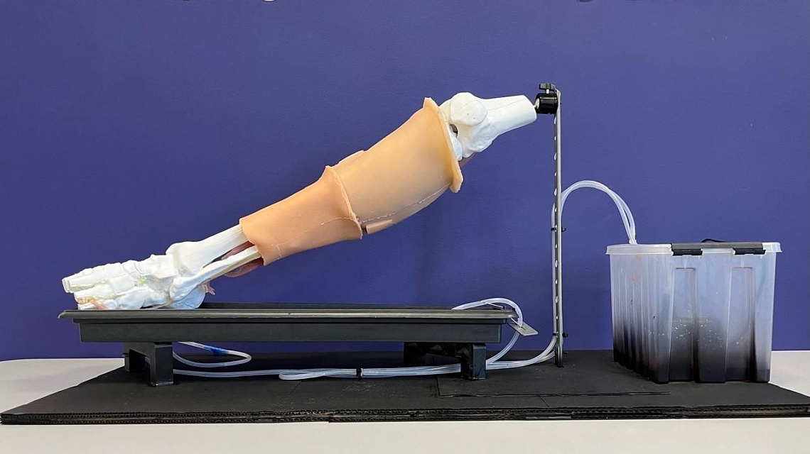 Державинцы представили новую разработку на конкурсе отечественных инноваций в симуляционном обучении фото детальные